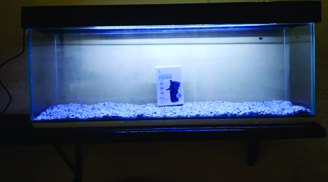 Acuarios Leonardo Quintero