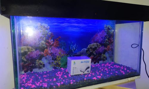 Fabrica de Acuarios LIFEFISH