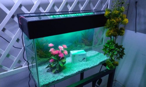 Fabrica de Acuarios LIFEFISH