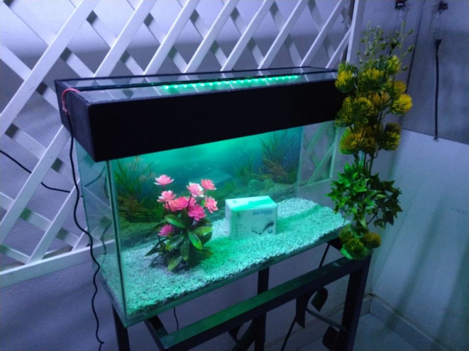 Fabrica de Acuarios LIFEFISH