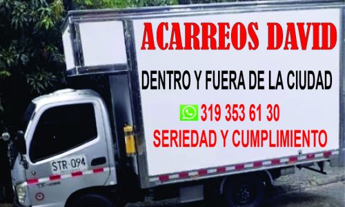 ACARREOS Y TRASTEOS DAVID 3193536130