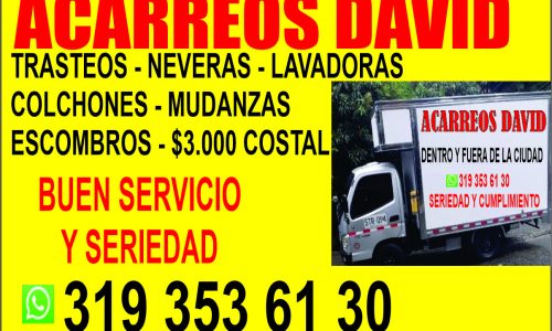 ACARREOS Y TRASTEOS DAVID 3193536130