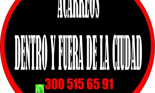 Acarreos y Mudanzas 3005156591