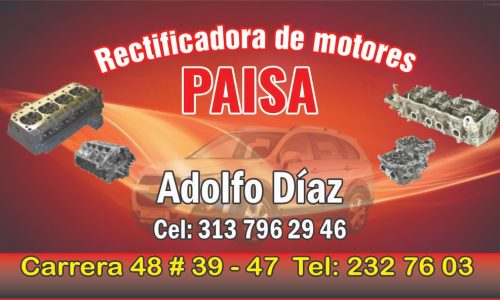 RECTIFICADORA DE MOTORES PAISA 313 796 29 46