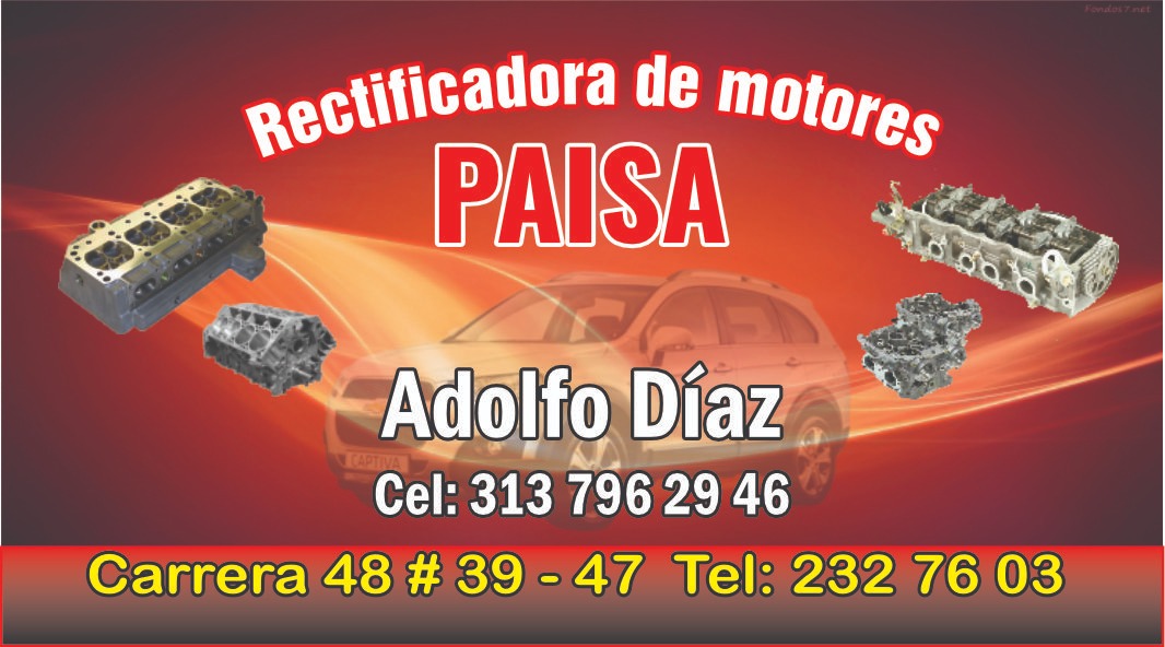 RECTIFICADORA DE MOTORES PAISA 313 796 29 46
