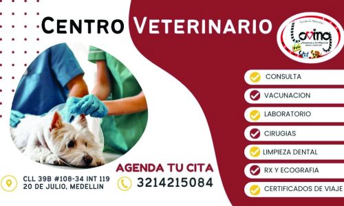 CENTRO VETERINARIO LOVING 3214215084