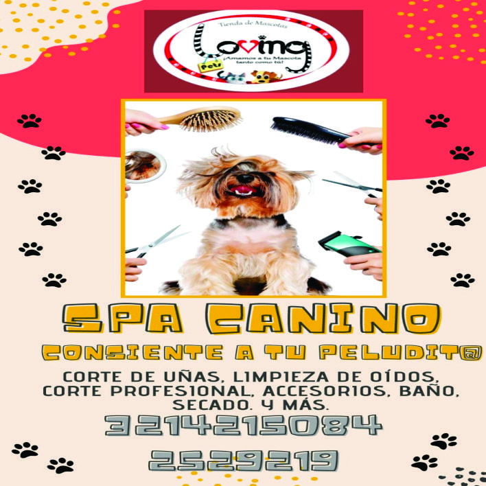 CENTRO VETERINARIO LOVING 3214215084