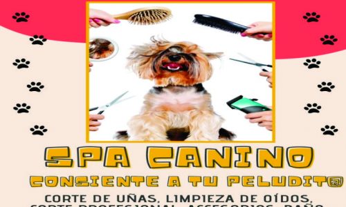 CENTRO VETERINARIO LOVING 3214215084