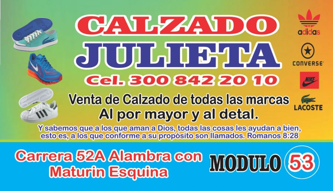 Calzado Julieta 300 8422010