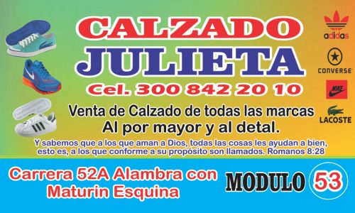 Calzado Julieta 300 8422010