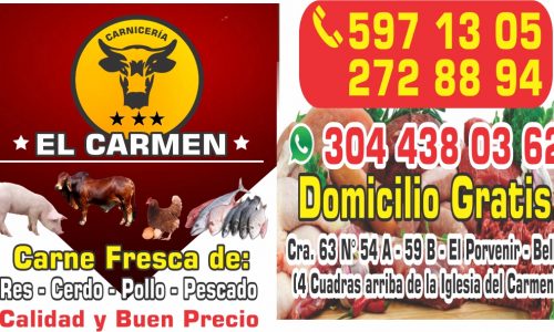 CARNICERIA EL CARMEN 304 438 0362