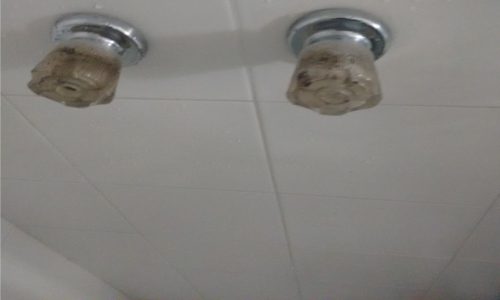 Plomeros Medellín Express