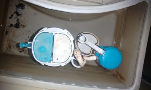 Plomeros Medellín Express